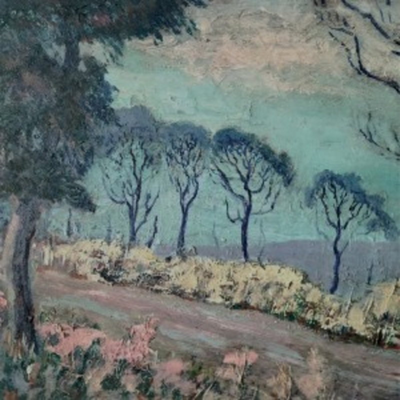 Advance Base – Horrible Occurrences