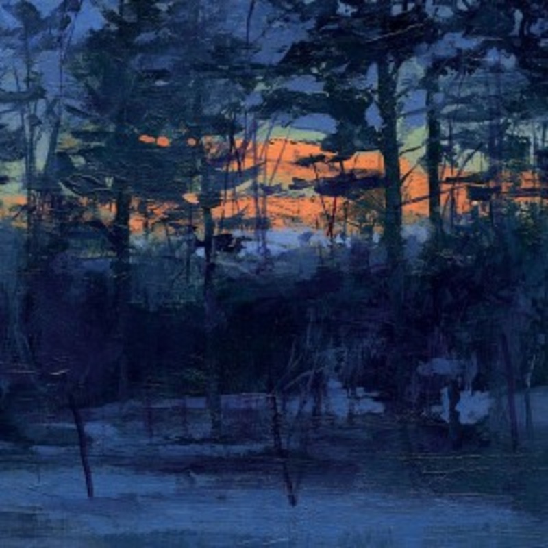 Animal Hospital – Shelf Life