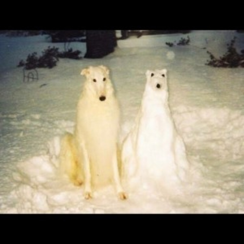 Birth Day – Boyhood (Splatter Vinyl)