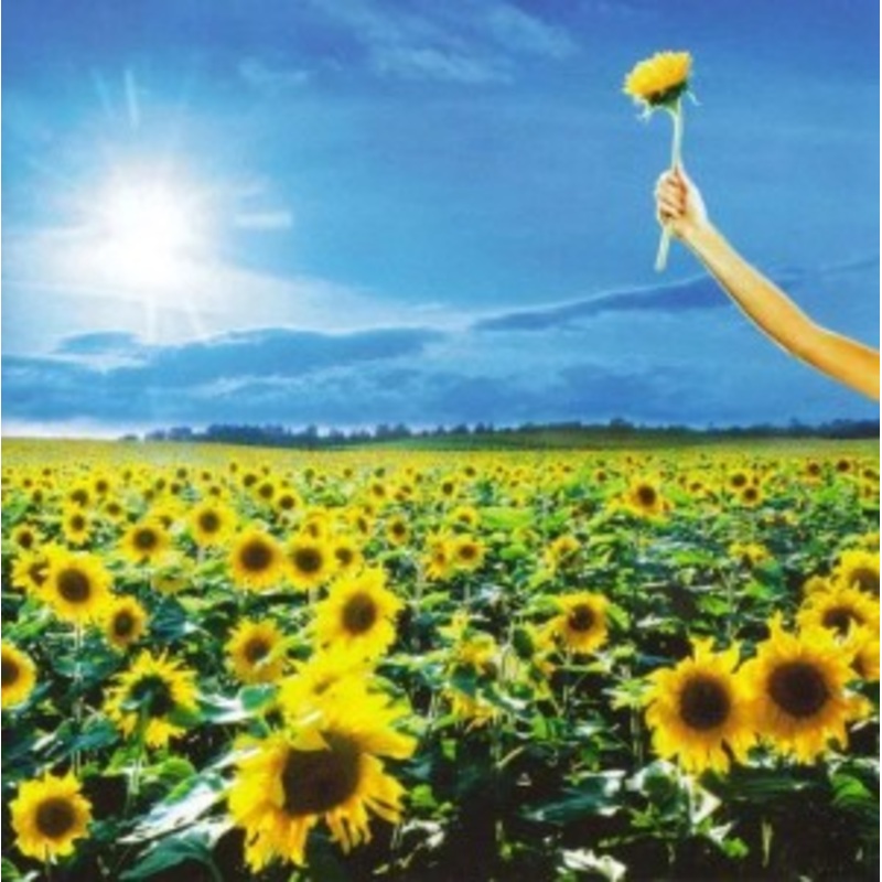 Stone Temple Pilots – Thank You