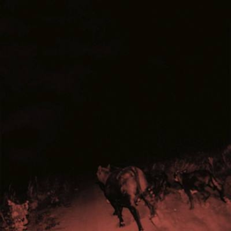 Bambara – Shadow On Everything (White Vinyl)