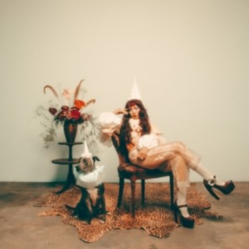 Wallice – The Jester