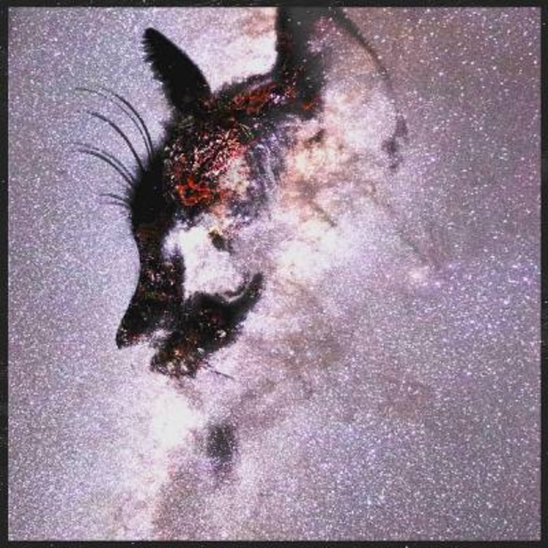 Guzzle – Keep Faith In The Algorithm