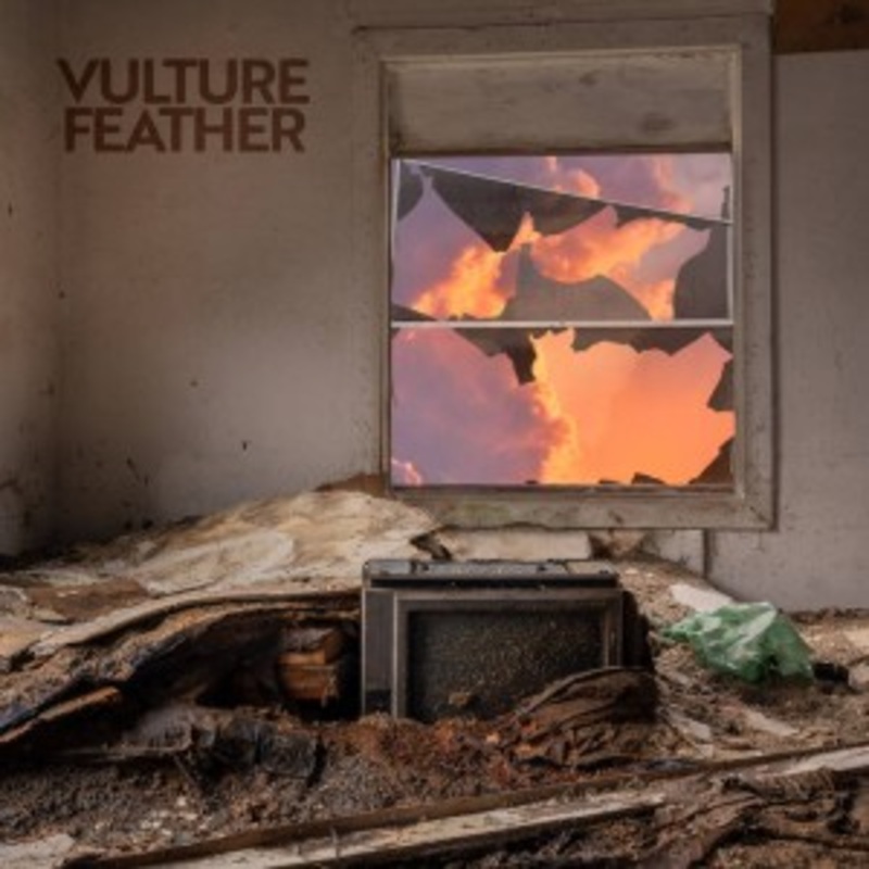 Vulture Feather – It Will Be Like Now (Pink Vinyl)