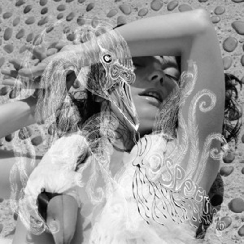 Bjork – Vespertine