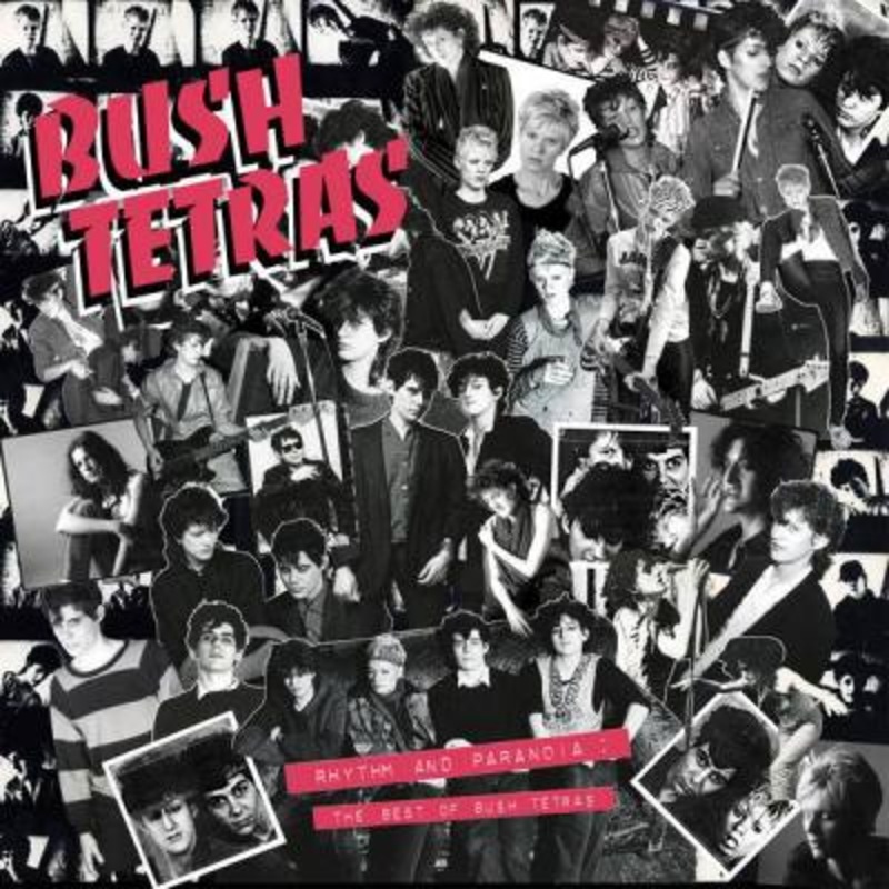 Bush Tetras – Rhythm And Paranoia: The Best Of Bush Tetras