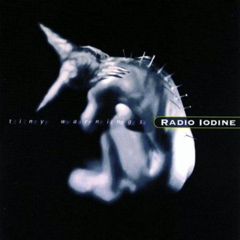 Radio Iodine – Tiny Warnings (CD, Album) (Very Good Plus (VG+))