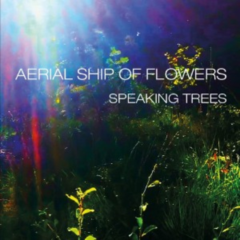 Aerial Ship Of Flowers – Speaking Trees