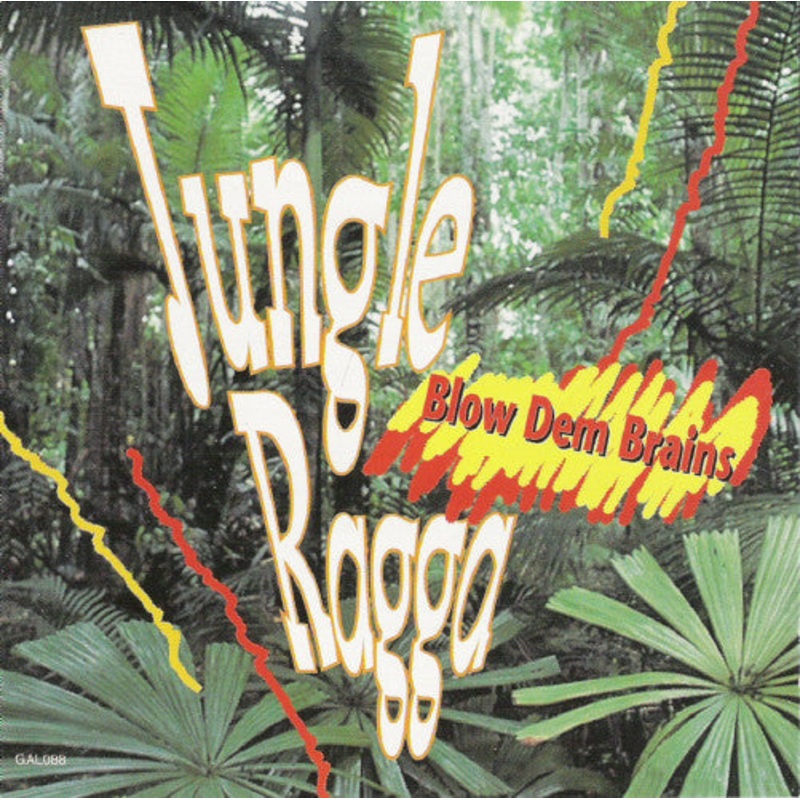 Various – Jungle Ragga – Blow Dem Brains (CD, Album, Comp) (Very Good Plus (VG+))