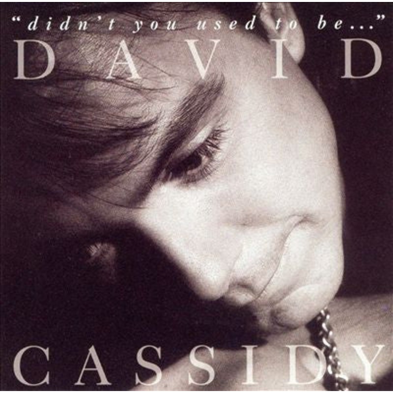 David Cassidy – Didn’t You Used To Be… (CD, Album) (Very Good Plus (VG+))