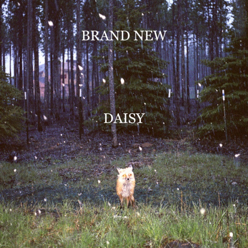 Brand New – Daisy (CD, Album) (Very Good Plus (VG+))