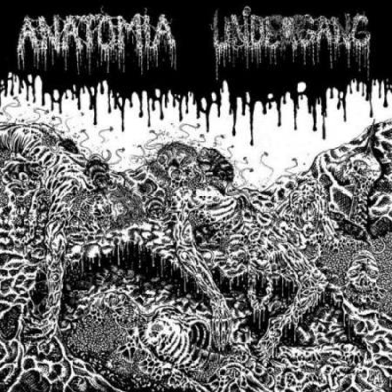 Anatomia / Undergang – Anatomia / Undergang