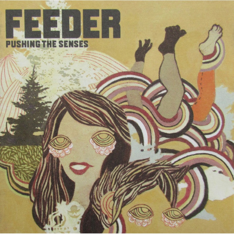 Feeder – Pushing The Senses (CD, Album) (Near Mint (NM or M-))
