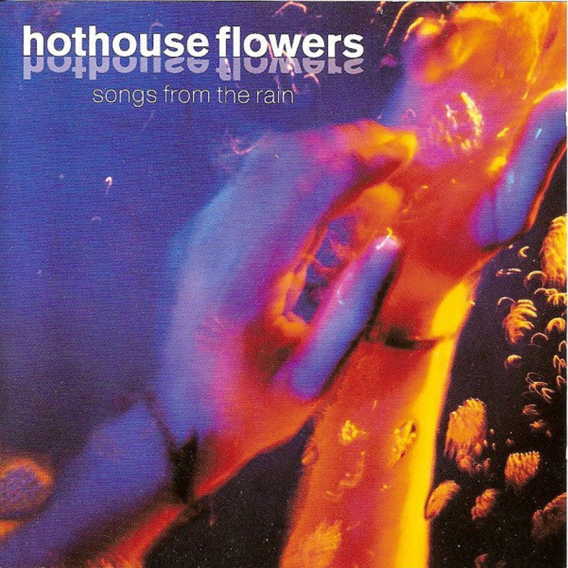 Hothouse Flowers – Songs From The Rain (CD, Album) (Very Good Plus (VG+))