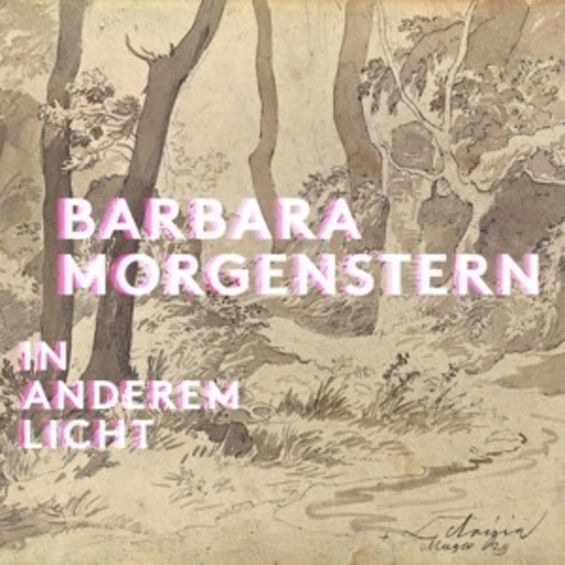 Barbara Morgenstern – In Anderem Licht
