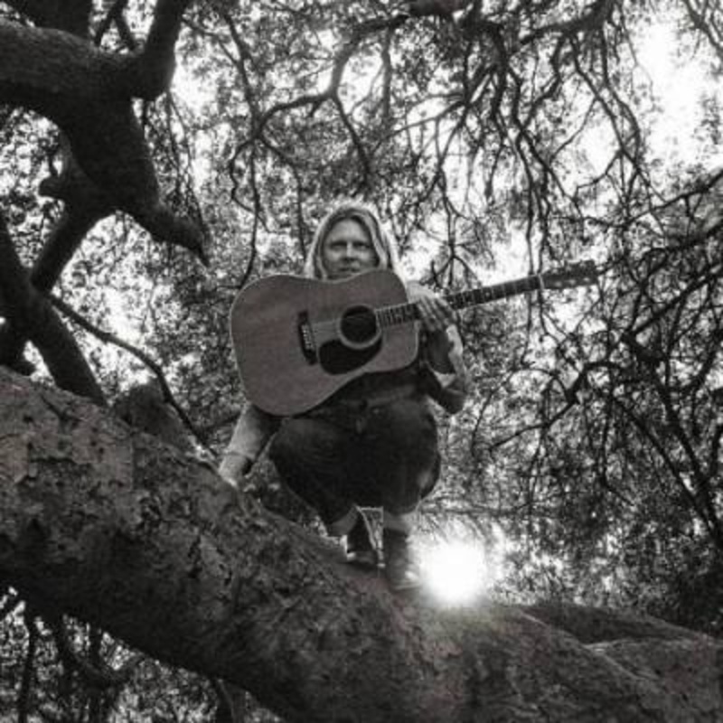 Ty Segall – Hello, Hi
