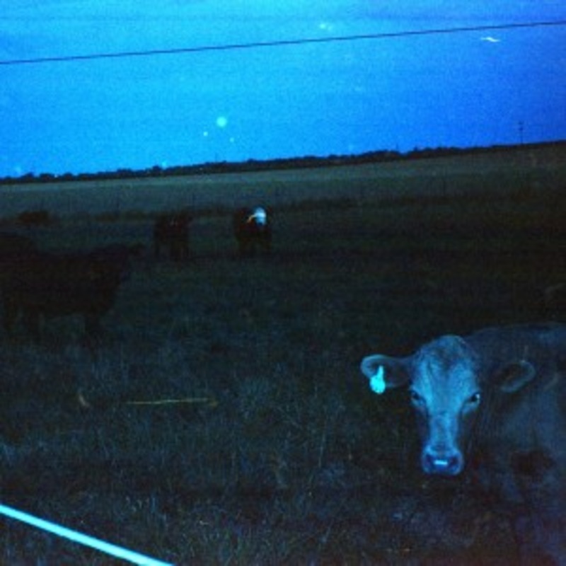 Waveform* – Antarctica