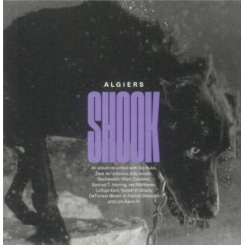 Algiers – Shook