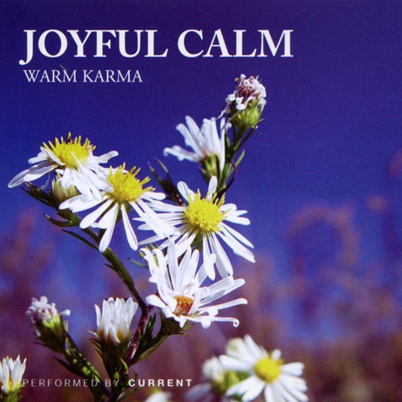 Current  – Joyful Calm (Warm Karma) (CD, Album, RE) (Near Mint (NM or M-))