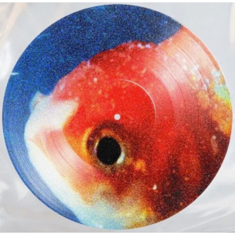 Vince Staples – Big Fish Theory (Picture Disc)