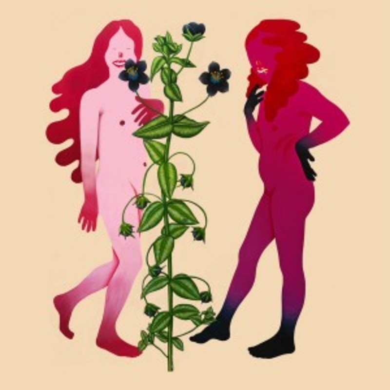 Various – Someone Like Me