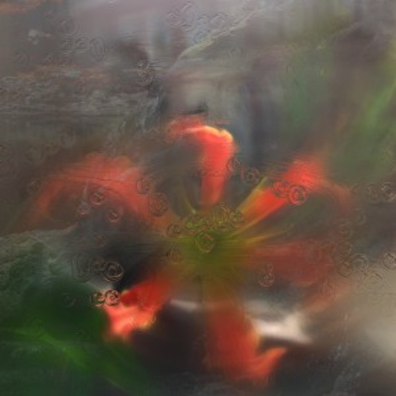 Upsammy – Germ In A Population Of Buildings