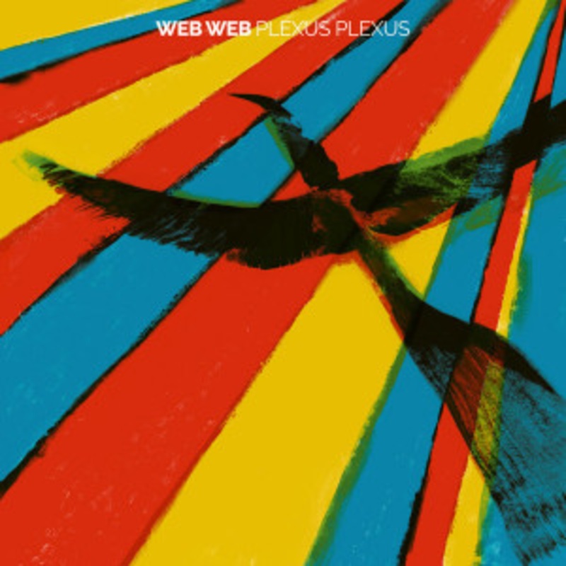 Web Web – Plexus Plexus