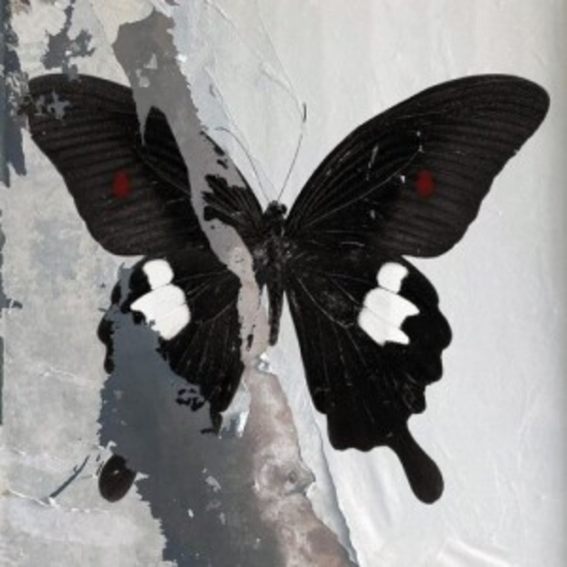 Death Cult – Paradise Now (Splatter Vinyl)