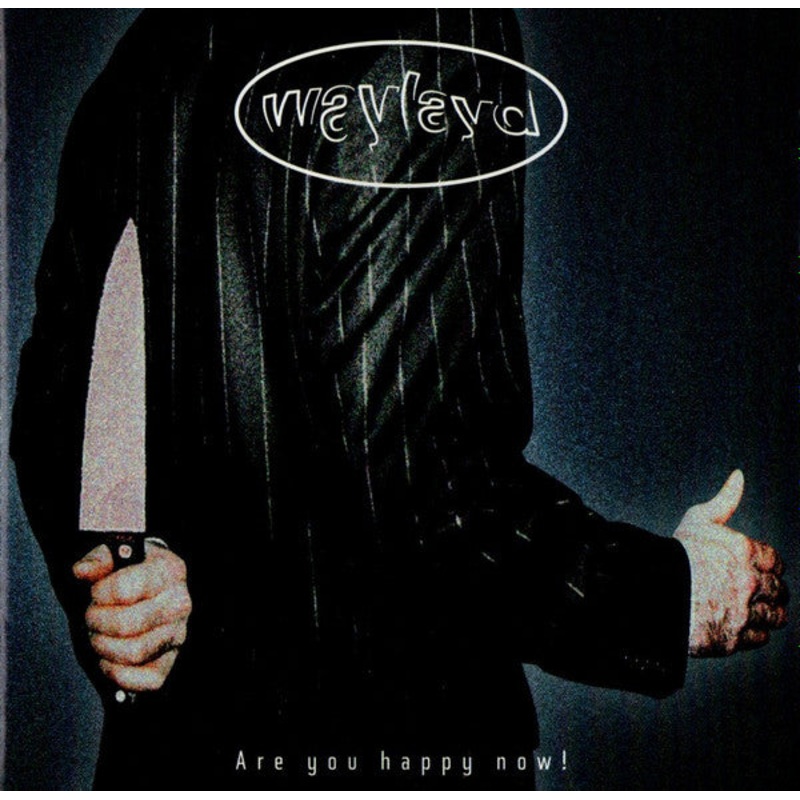 Waylayd – Are You Happy Now! (CD, EP) (Very Good Plus (VG+))