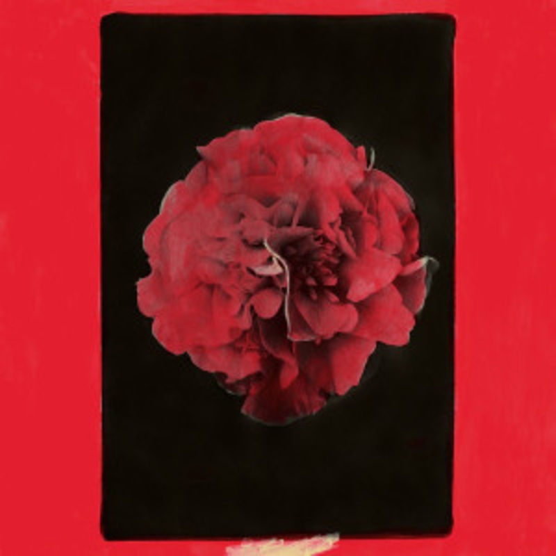 Activity – A Thousand Years In Another Way