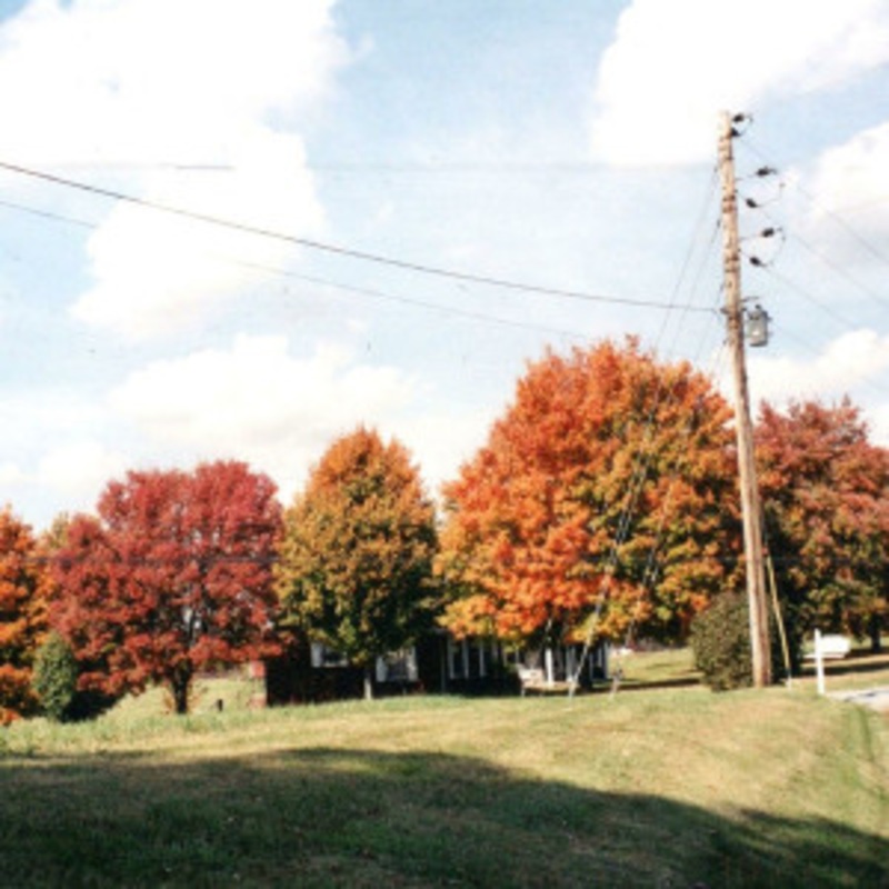 vegas water taxi – Things Are Gonna Be Alright (Red Vinyl)