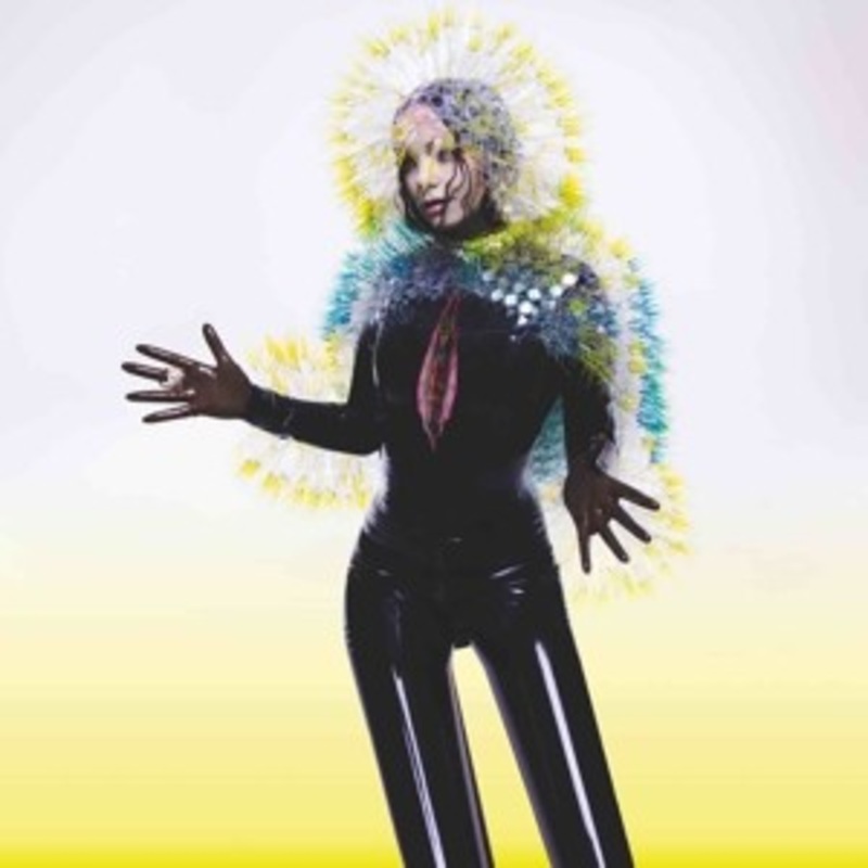 Bjork – Vulnicura
