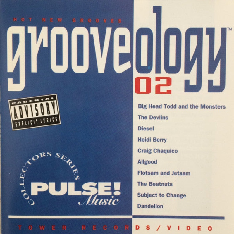 Various – Grooveology 02: PulseMusic Sampler (CD, Smplr) (Very Good Plus (VG+))