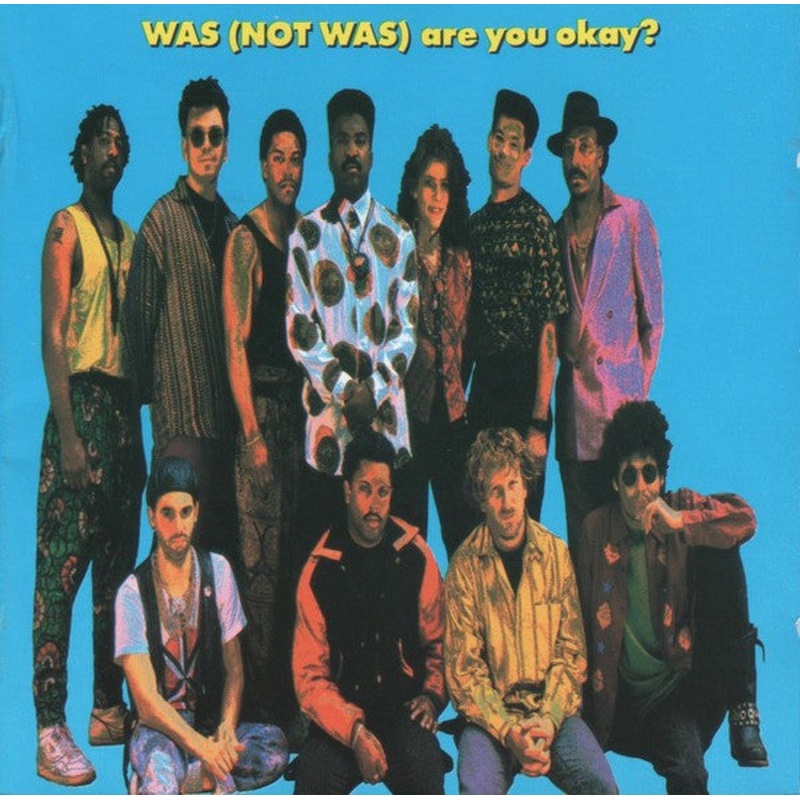 Was (Not Was) – Are You Okay? (CD, Album) (Very Good Plus (VG+))
