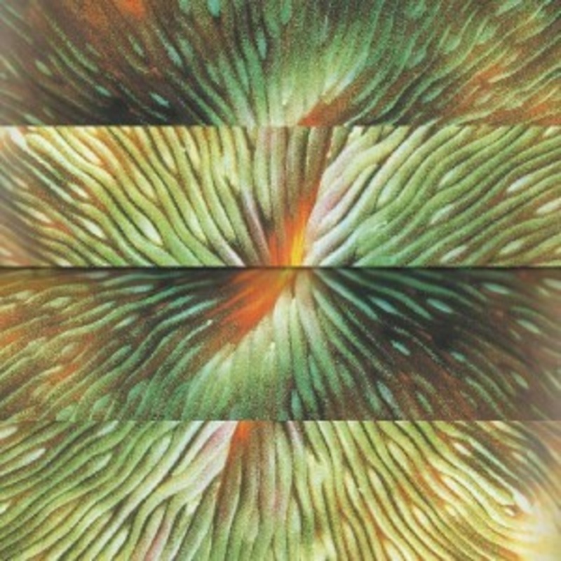 Active Surplus – Mirroring