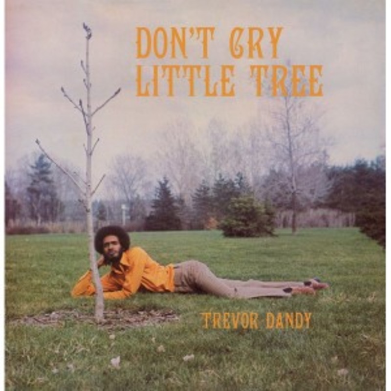 Trevor Dandy – Don’t Cry Little Tree