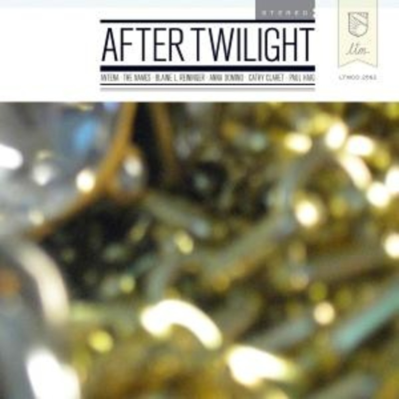 Various – After Twilight