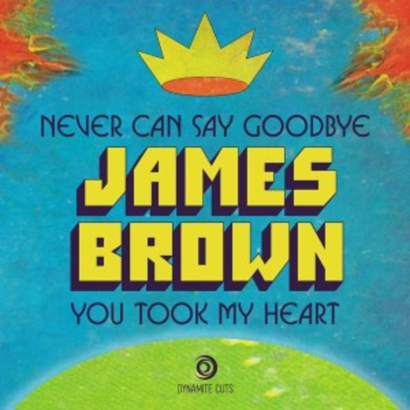 James Brown – Never Can Say Goodbye