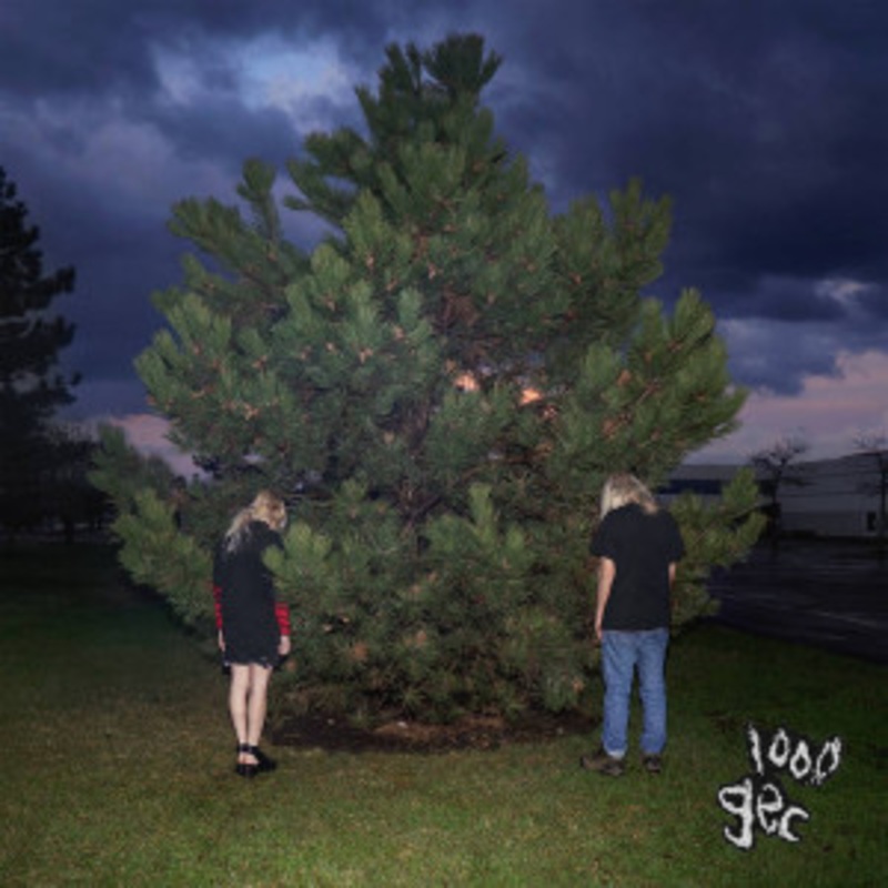 100 gecs – 1000 Gecs