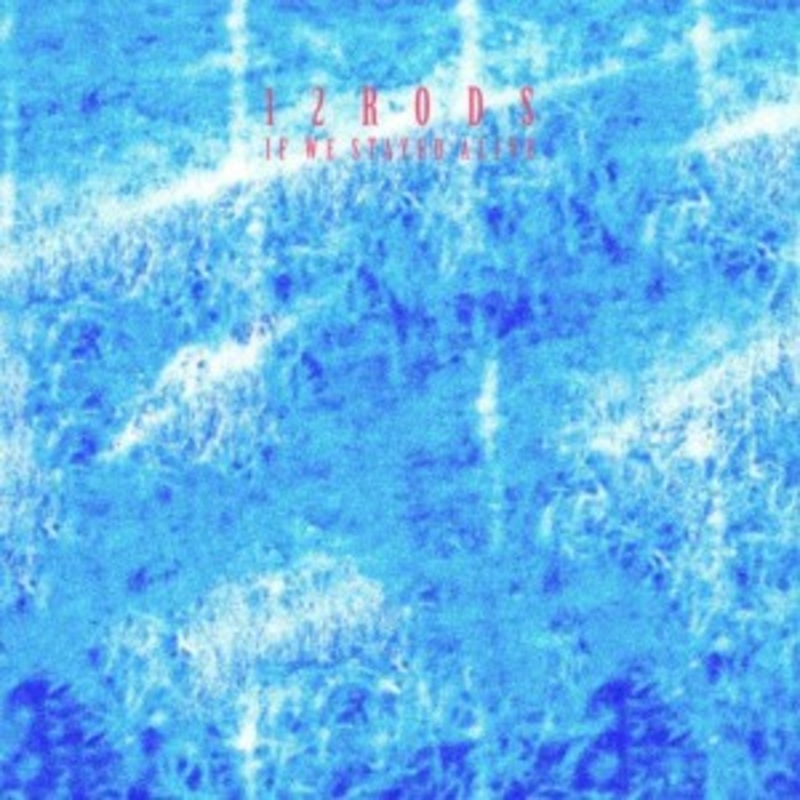 12 Rods – If We Stayed Alive