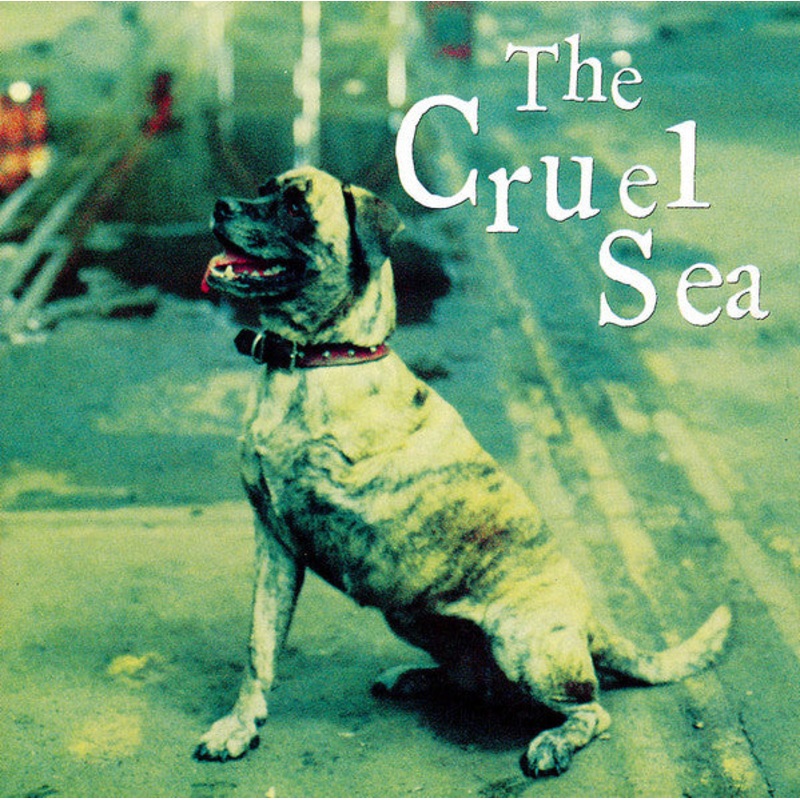 The Cruel Sea – Three Legged Dog (CD, Album) (Very Good Plus (VG+))