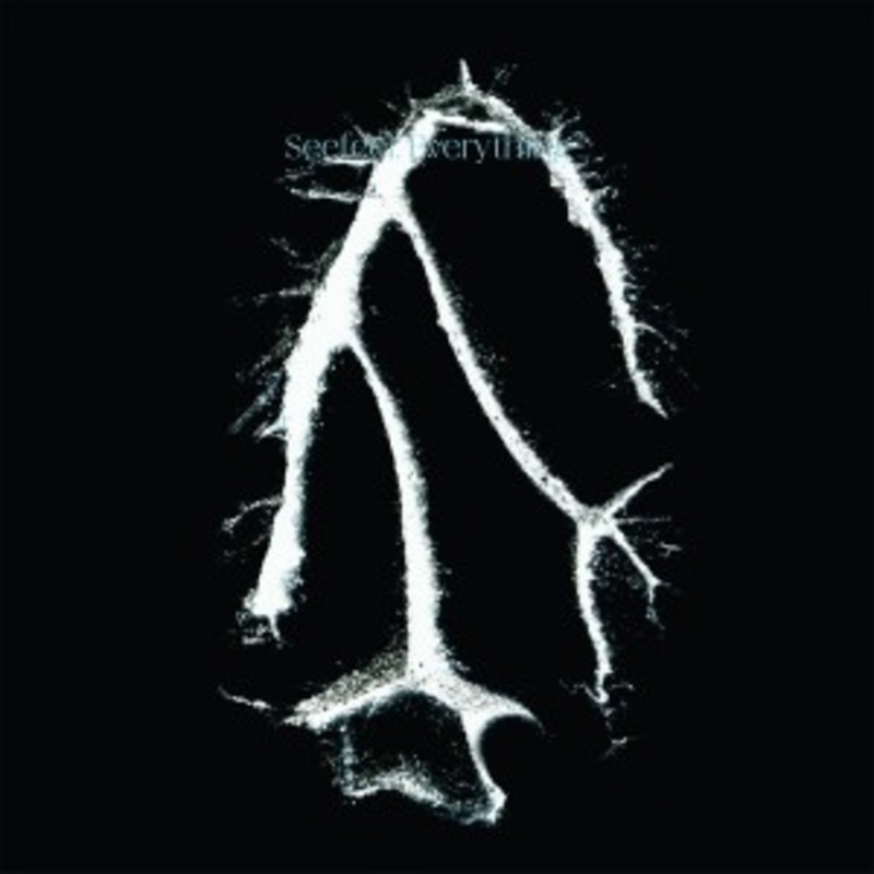 Seefeel – Everything Sqared