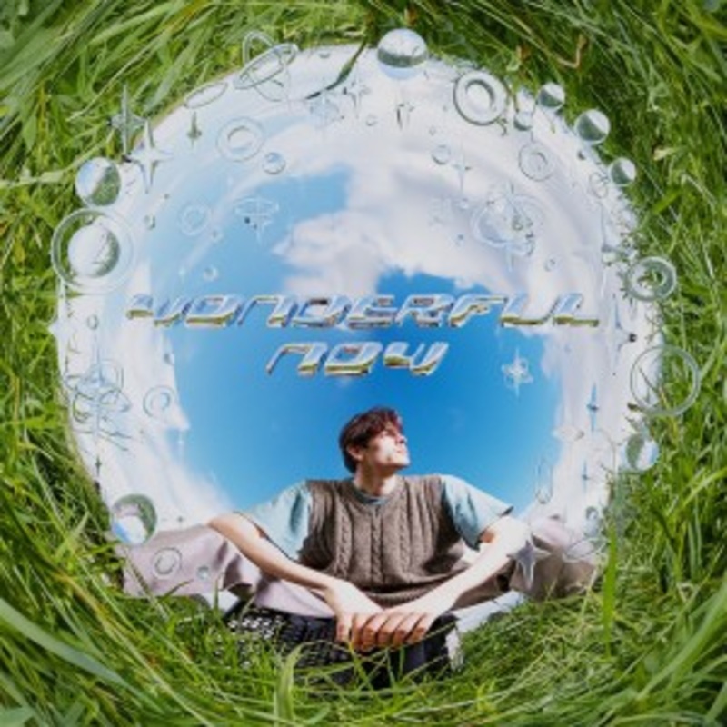 Anatole Muster – Wonderful Now