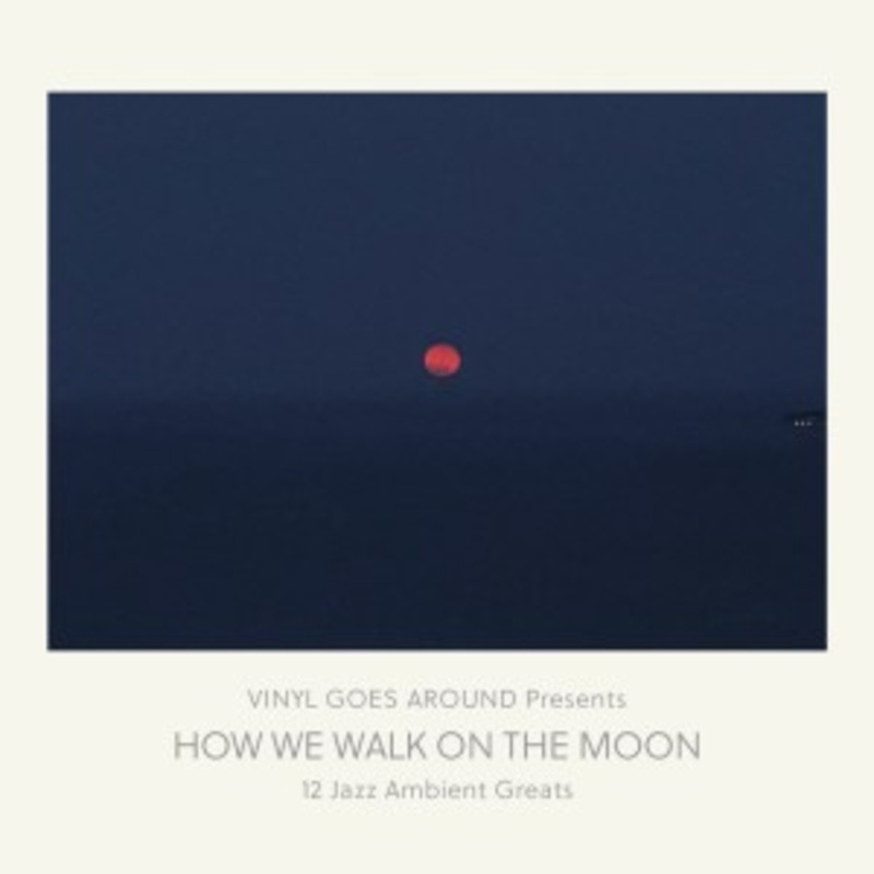 Various – How We Walk On The Moon