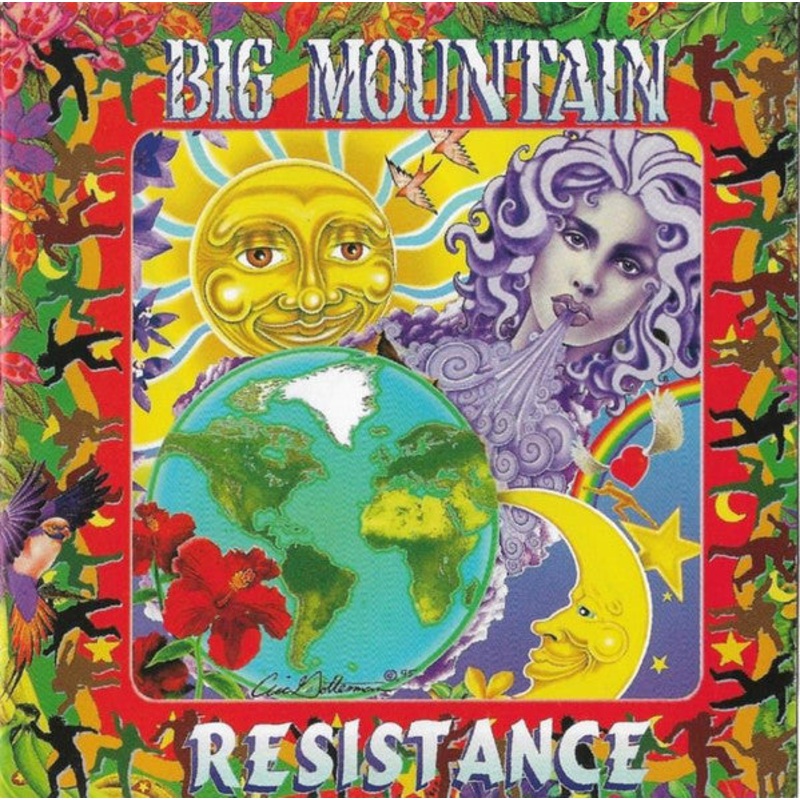 Big Mountain – Resistance (CD, Album) (Very Good Plus (VG+))