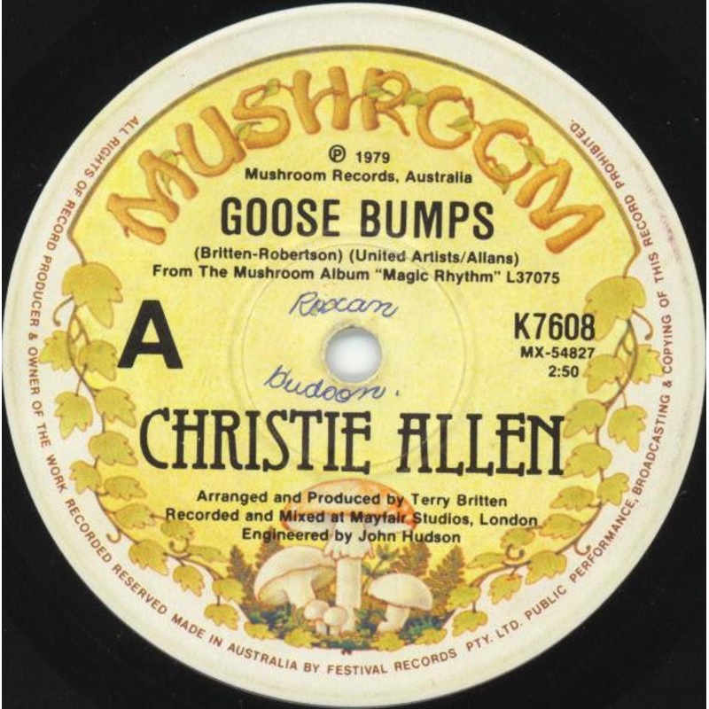 Christie Allen – Goose Bumps (7, Single) (Very Good (VG))