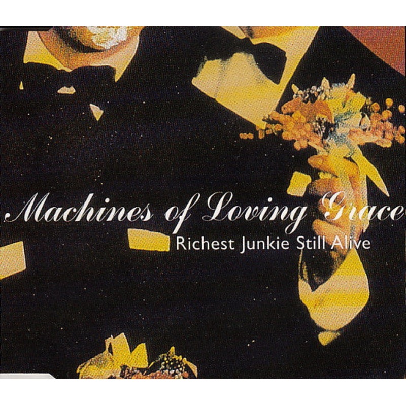 Machines Of Loving Grace – Richest Junkie Still Alive (CD, Maxi) (Very Good Plus (VG+))