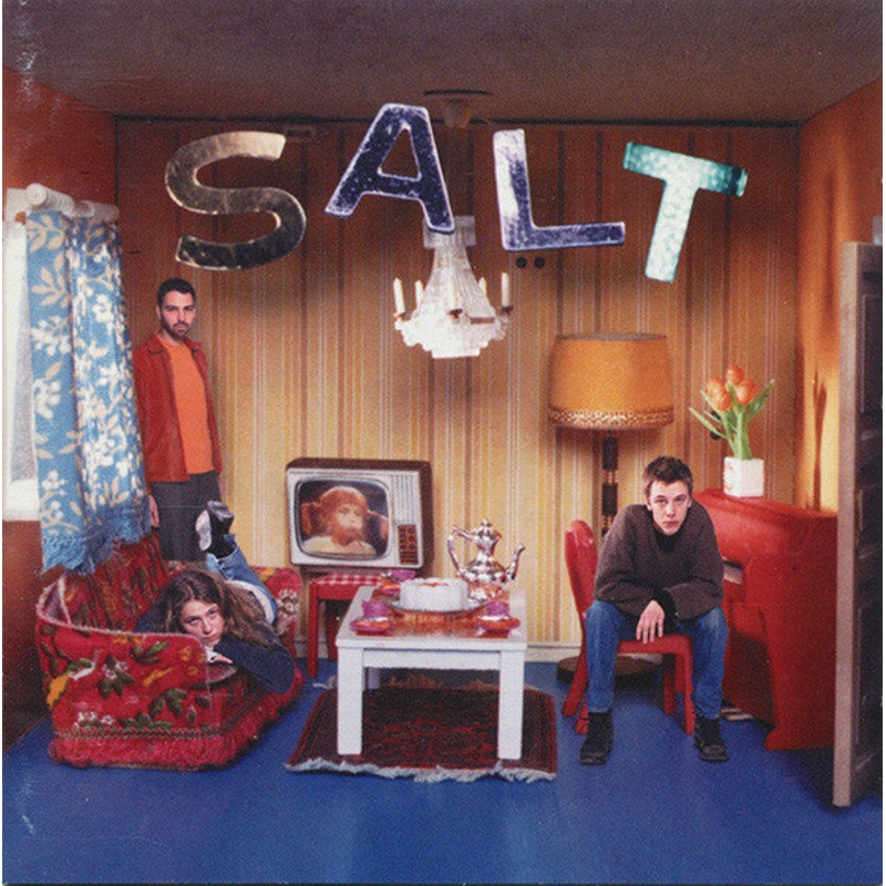 Salt  – Auscultate (CD, Album) (Very Good Plus (VG+))