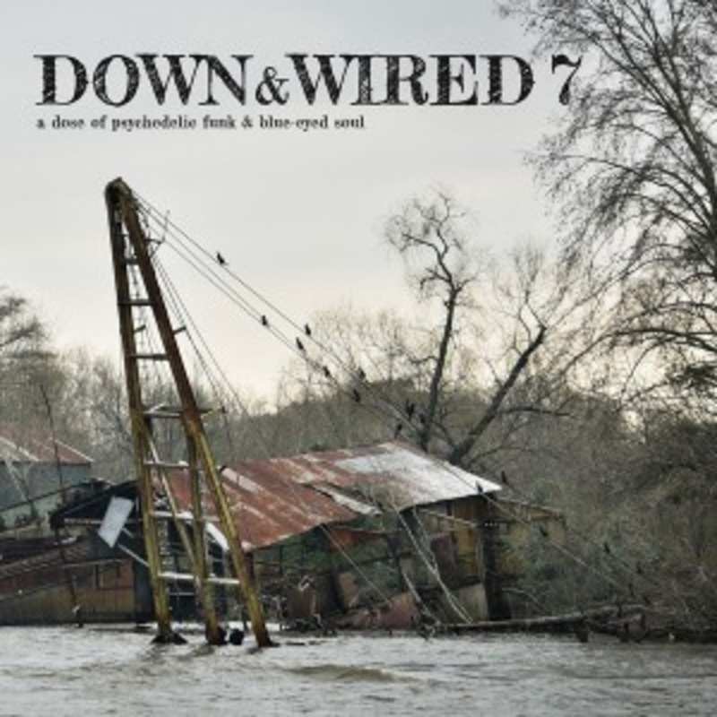 Various – Down & Wired 7