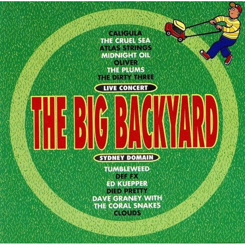 Various – The Big Backyard (CD, Comp) (Very Good Plus (VG+))